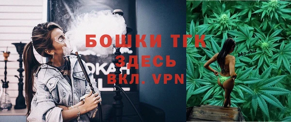 ПСИЛОЦИБИНОВЫЕ ГРИБЫ Абаза