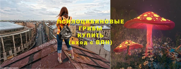 ПСИЛОЦИБИНОВЫЕ ГРИБЫ Абаза