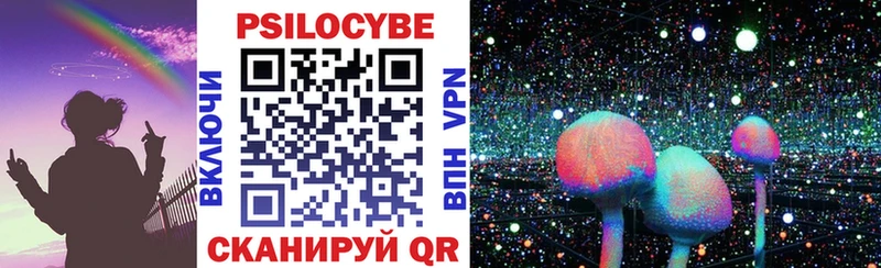mega зеркало закладки Абакан Галлюциногенные грибы Cubensis